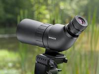 spotting